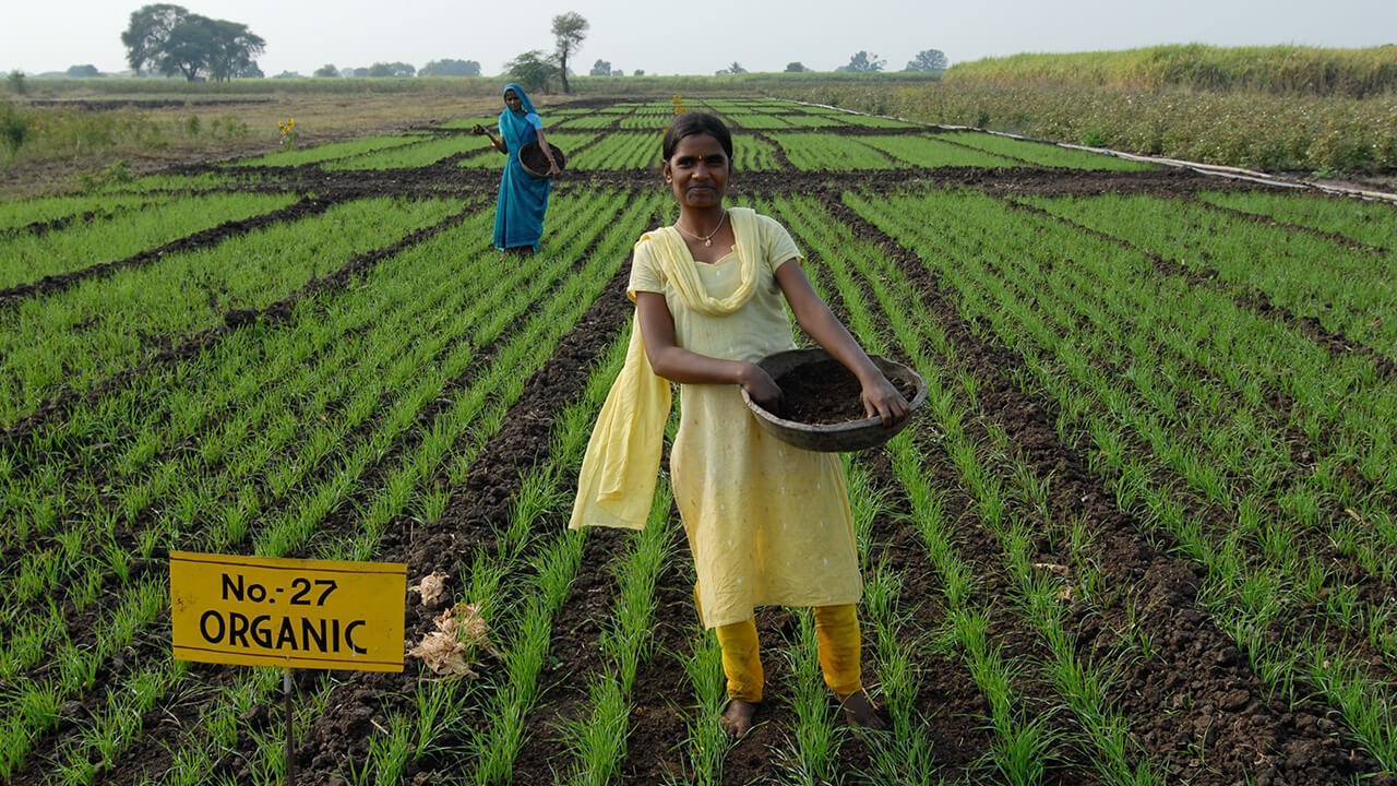 名称未設定 1 (2)